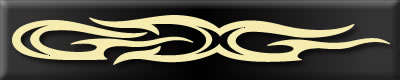 Decal Color Orange
