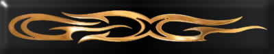 Decal Color Orange